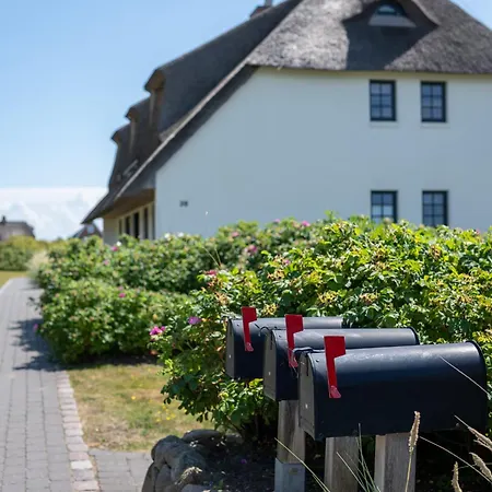 Hébergement de vacances Bohosylt 9 Wenningstedt-Braderup